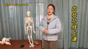 归元之道《内壮功》线上课程12集-归元之道