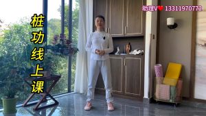 归元之道《桩功》线上课程12集-归元之道