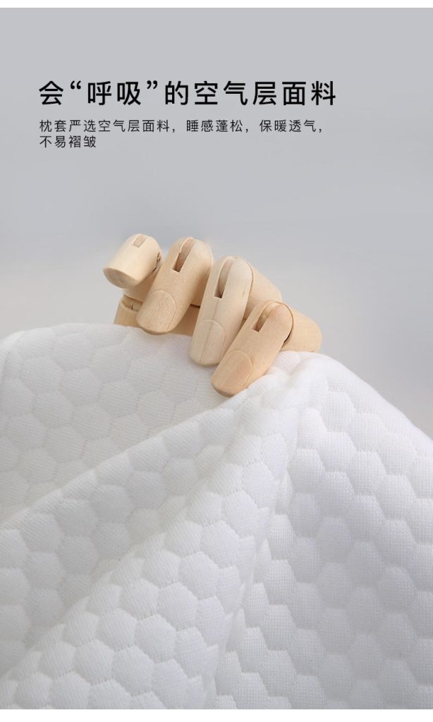 图片[5]-艾丝老师同款  枕头-归元之道